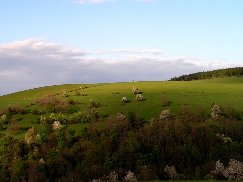 Low Beskids (Poland)